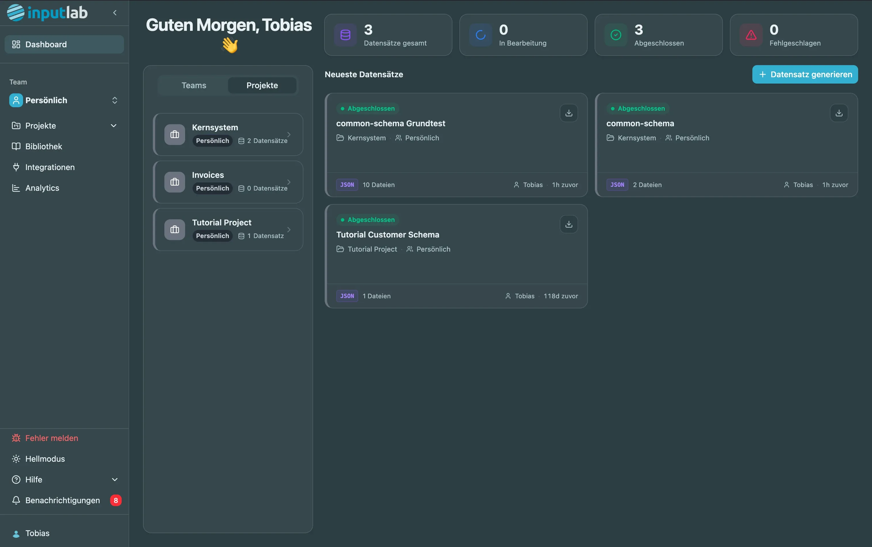 Dashboard von InputLab TDP mit Datensätzen, Projekten, Formaten und Statusinformationen.