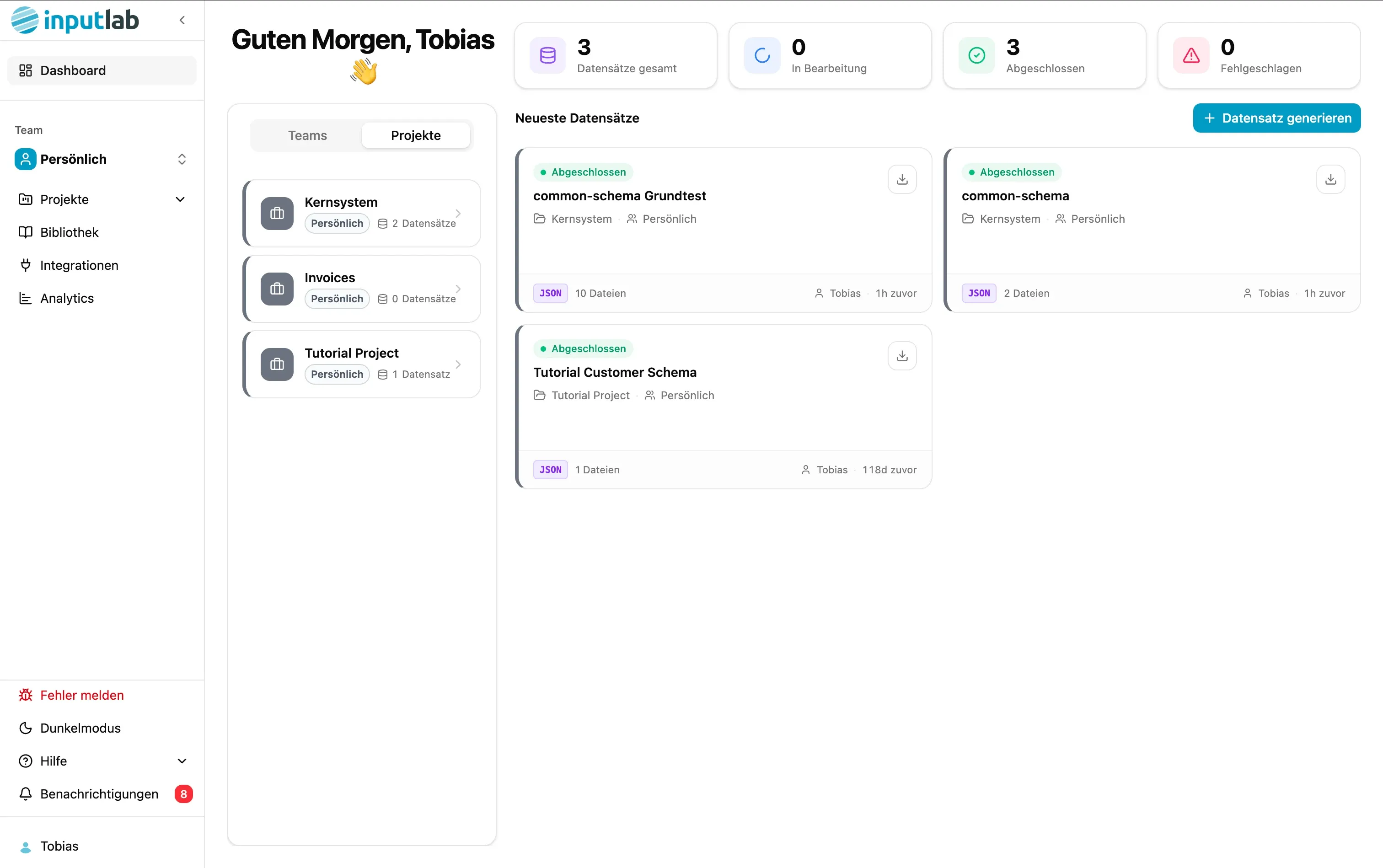 Dashboard von InputLab TDP mit Datensätzen, Projekten, Formaten und Statusinformationen.